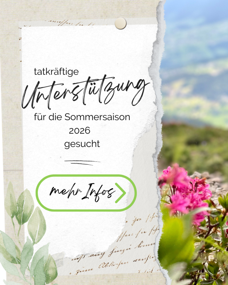 Unterstützung Sommer 26 - 1