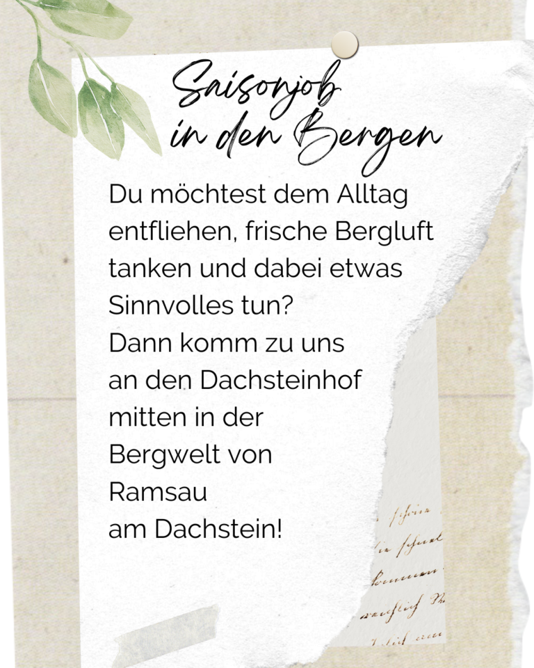 Unterstützung Sommer 26 - 2